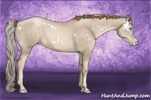 Horse Color:White Spotted Chocolate Palomino Pearl 