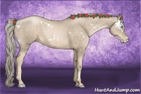 Horse Color:White Spotted Chocolate Palomino Pearl 