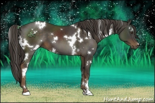 Horse Color:White Spotted Liver Chestnut