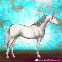 Horse Color:Gray Silver Classic Cream Champagne Roan Pearl Dun 
