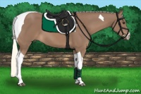 Horse Color:Chestnut Tobiano 