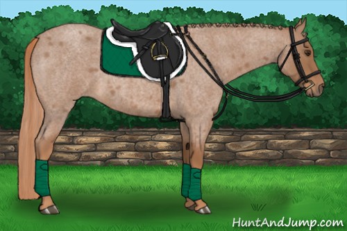 Horse Color:Red Roan 