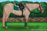 Horse Color:Red Roan 