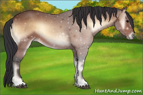 Horse Color:Brown Onyx 