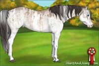 Horse Color:White Spotted Brown Dun Splash  and White Spotted Sable Champagne Dun Splash 