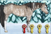 Horse Color:White Spotted Liver Red Dun Splash  and White Spotted Brown Dun Mushroom 