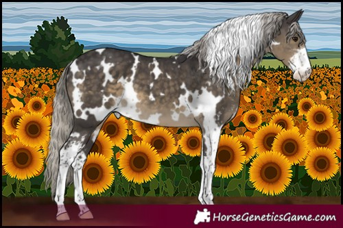 Horse Color:White Spotted Silver Smoky Black Sabino 