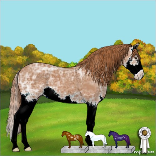 Horse Color:Chestnut Ice Sabino Splash 