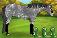 Horse Color:Black Ice Sabino Splash 