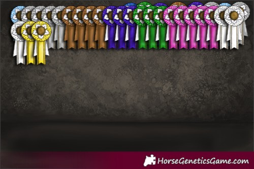 Horse Color:Black Ice Sabino Splash 