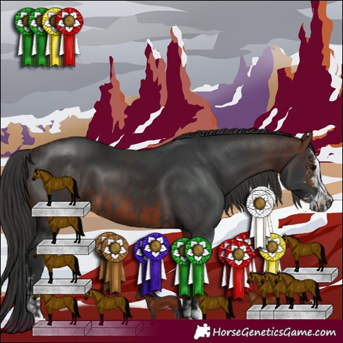 Horse Color:Black  and Brown Sabino 