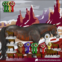 Horse Color:Black  and Brown Sabino 