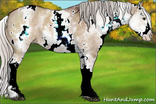 Horse Color:White Spotted Silver Brown Dun 