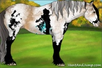 Horse Color:White Spotted Buckskin