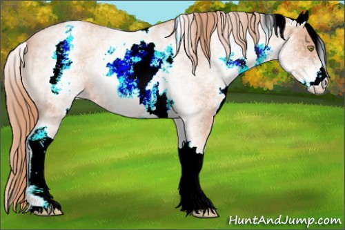 Horse Color:White Spotted Gold Champagne Roan 