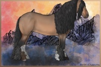 Horse Color:Bay Dun