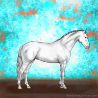 Horse Color:Gray Bay Sabino 