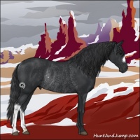 Horse Color:Black Rabicano 