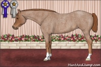 Horse Color:Red Roan