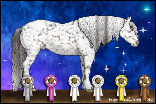 Horse Color:Brown Appaloosa 