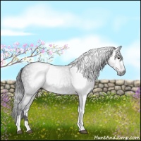 Horse Color:Gray Brown Sabino Tobiano 