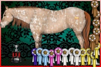 Horse Color:Brown Dun Tobiano Leopard  and Buckskin Pearl Tobiano 