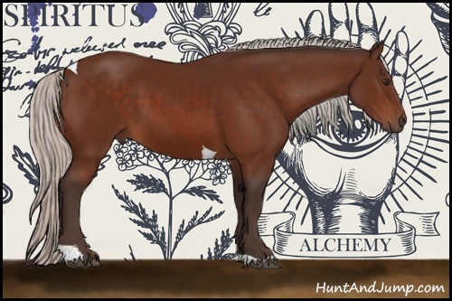 Horse Color:Silver Brown Sabino Tobiano
