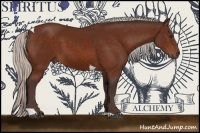 Horse Color:Silver Brown Sabino Tobiano