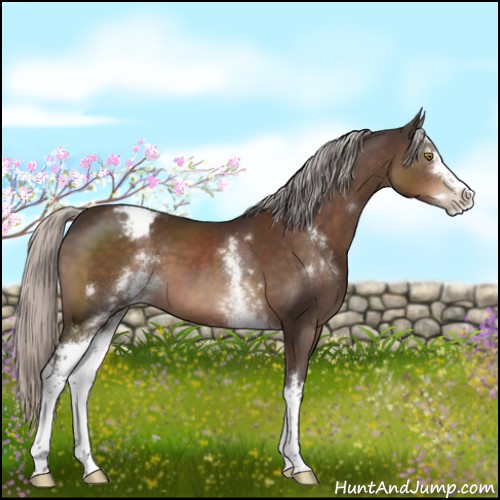 Horse Color:White Spotted Silver Brown Sabino Varnish