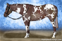 Horse Color:White Spotted Chocolate Brown