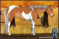 Horse Color:Silver Buckskin Tobiano 