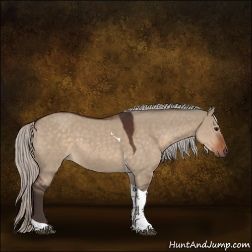 Horse Color:Silver Brown Dun Tobiano 
