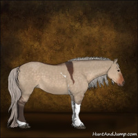 Horse Color:Silver Brown Dun Tobiano 