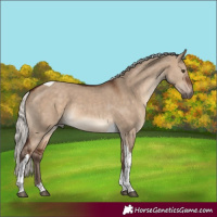 Horse Color:Silver Brown Dun Tobiano 