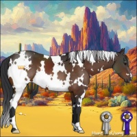 Horse Color:White Spotted Bay 