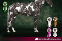 Horse Color:White Spotted Liver Chestnut Ice 