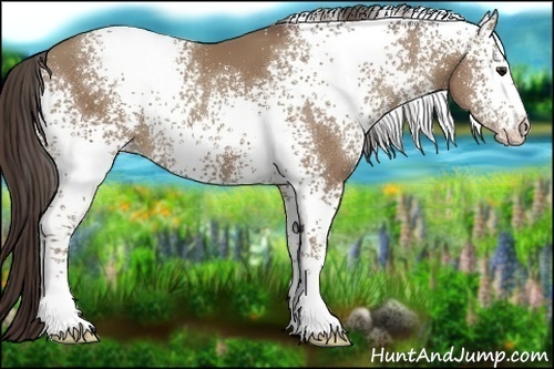 Horse Color:White Spotted Classic Champagne 