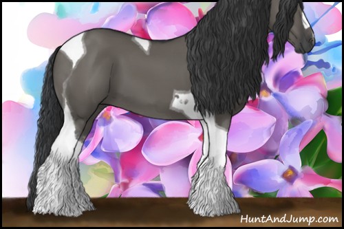 Horse Color:Grullo Tobiano 