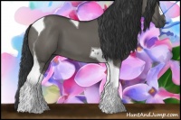 Horse Color:Grullo Tobiano 
