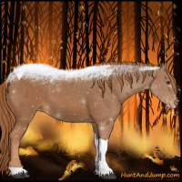 Horse Color:Chestnut Tobiano Varnish 