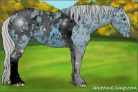 Horse Color:ERROR: UNKNOWN ANOMALY
