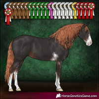 Horse Color:Liver Chestnut Sabino