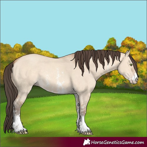 Horse Color:Amber Champagne Dun Sabino