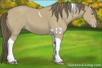 Horse Color:Classic Cream Champagne Tobiano