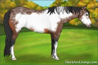 Horse Color:Bay Ice Frame