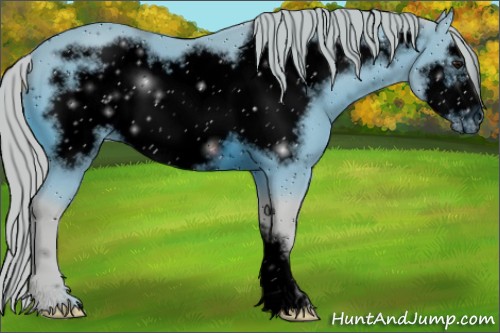 Horse Color:ERROR: UNKNOWN ANOMALY