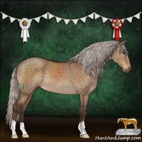 Horse Color:Silver Brown Dun 