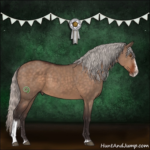 Horse Color:Silver Brown Dun Sabino 