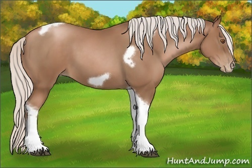 Horse Color:Silver Black Pearl Tobiano Frame 