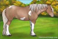 Horse Color:Silver Black Pearl Tobiano Frame 